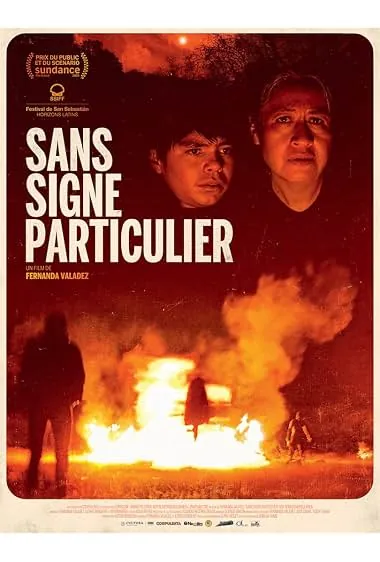 Affiche de Identifying Features